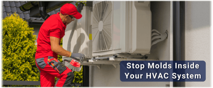 HVAC Mold Removal Hurst TX